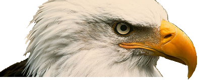 Postal Benefits Group Eagle Head